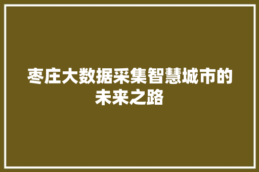 枣庄大数据采集智慧城市的未来之路 SEO教程