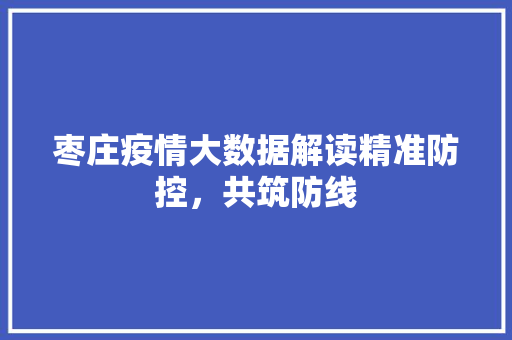 枣庄疫情大数据解读精准防控，共筑防线 服务器/数据库