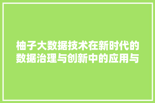 柚子大数据技术在新时代的数据治理与创新中的应用与挑战