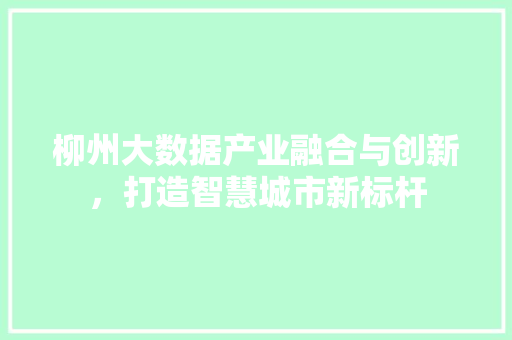 柳州大数据产业融合与创新，打造智慧城市新标杆