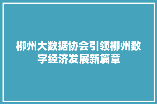 柳州大数据协会引领柳州数字经济发展新篇章