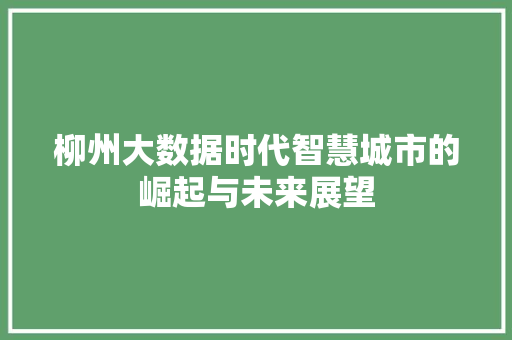 柳州大数据时代智慧城市的崛起与未来展望 SEO教程