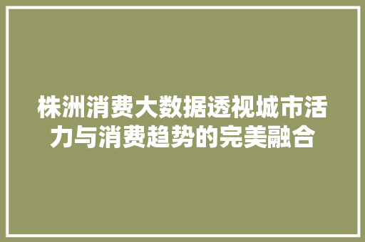 株洲消费大数据透视城市活力与消费趋势的完美融合