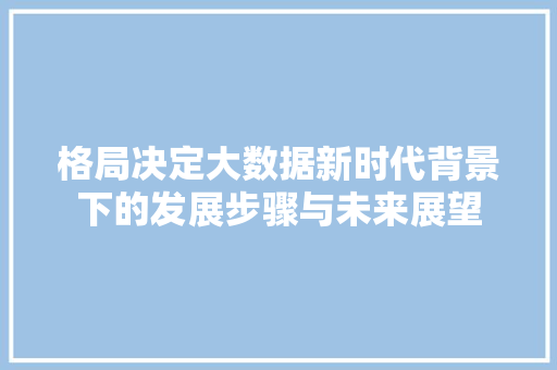 格局决定大数据新时代背景下的发展步骤与未来展望