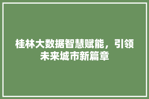 桂林大数据智慧赋能，引领未来城市新篇章