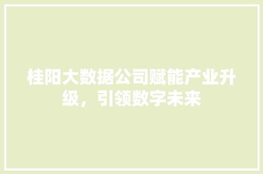 桂阳大数据公司赋能产业升级，引领数字未来