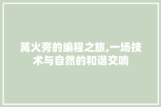 篝火旁的编程之旅,一场技术与自然的和谐交响