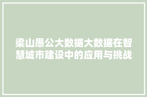 梁山愚公大数据大数据在智慧城市建设中的应用与挑战 SEO教程