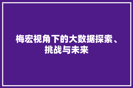 梅宏视角下的大数据探索、挑战与未来