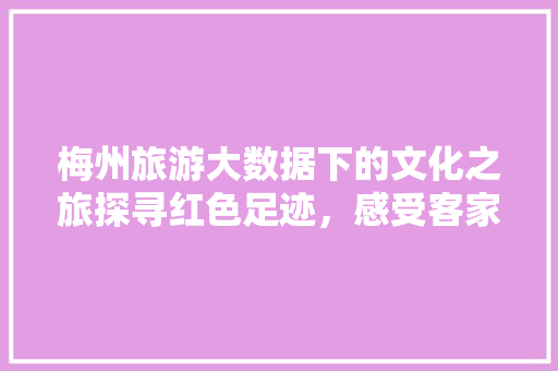 梅州旅游大数据下的文化之旅探寻红色足迹，感受客家风情