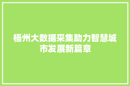 梧州大数据采集助力智慧城市发展新篇章 Web前端