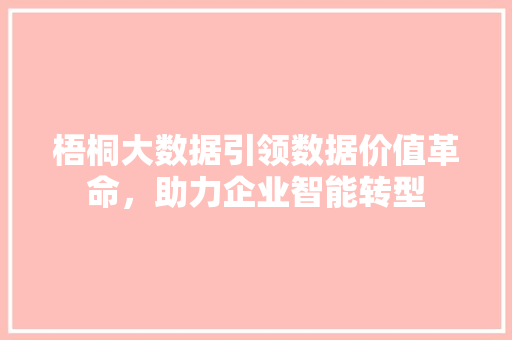 梧桐大数据引领数据价值革命，助力企业智能转型 友链在线