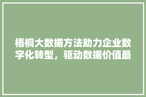 梧桐大数据方法助力企业数字化转型，驱动数据价值最大化 友链在线