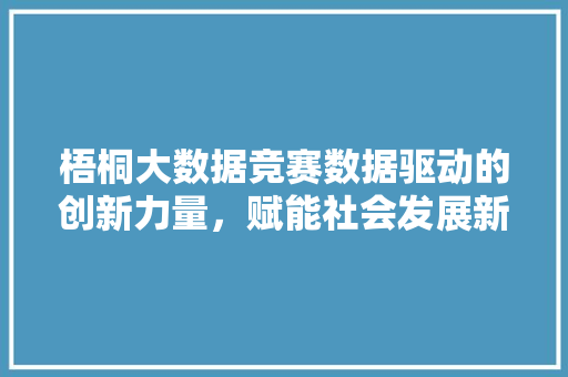 梧桐大数据竞赛数据驱动的创新力量，赋能社会发展新篇章 Web前端