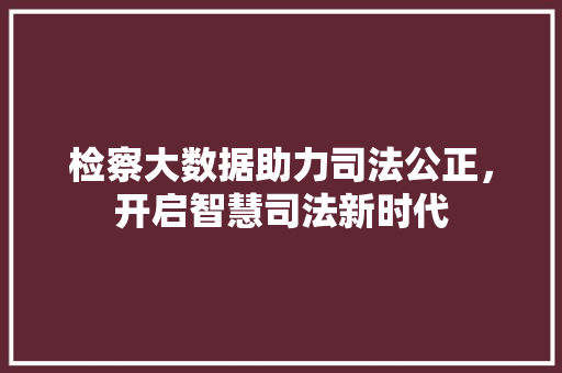 检察大数据助力司法公正，开启智慧司法新时代 建站教程
