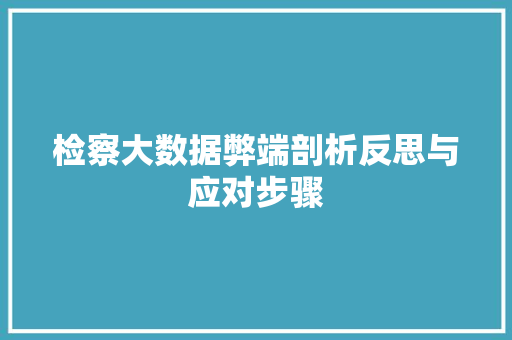 检察大数据弊端剖析反思与应对步骤 建站教程