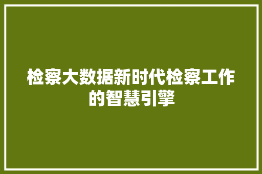 检察大数据新时代检察工作的智慧引擎 服务器/数据库