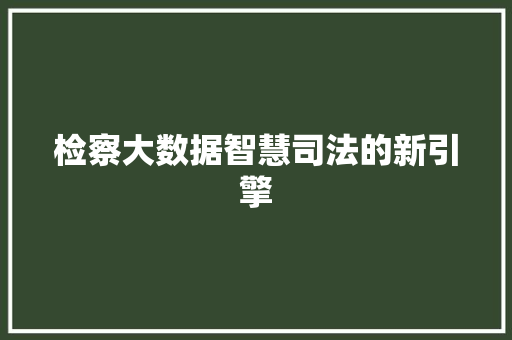 检察大数据智慧司法的新引擎 SEO教程