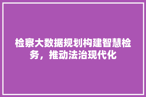 检察大数据规划构建智慧检务，推动法治现代化 WordPress教程