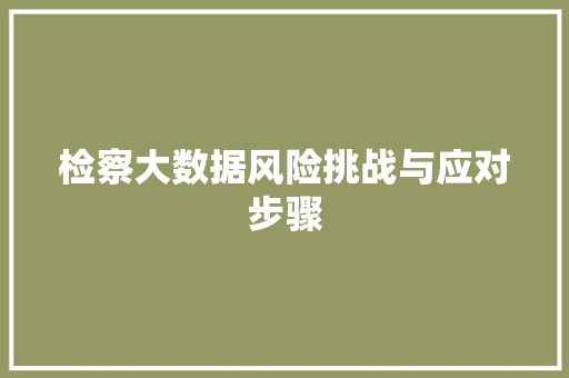 检察大数据风险挑战与应对步骤