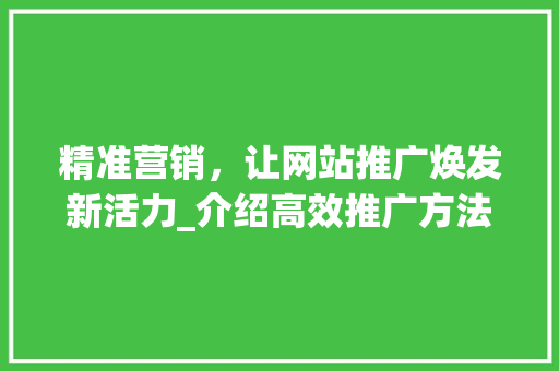 精准营销，让网站推广焕发新活力_介绍高效推广方法