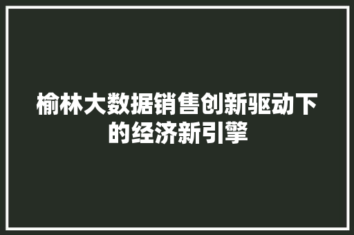 榆林大数据销售创新驱动下的经济新引擎