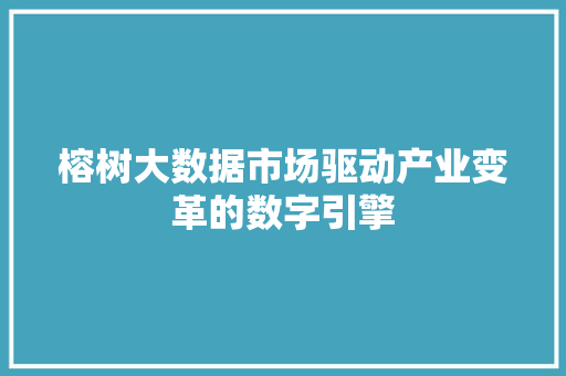 榕树大数据市场驱动产业变革的数字引擎 SEO教程