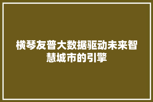 横琴友普大数据驱动未来智慧城市的引擎 WordPress教程
