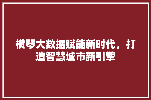 横琴大数据赋能新时代，打造智慧城市新引擎 WordPress教程