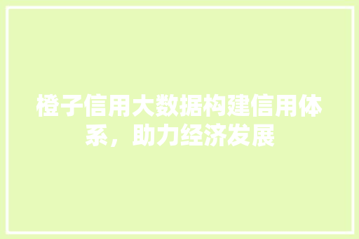 橙子信用大数据构建信用体系，助力经济发展