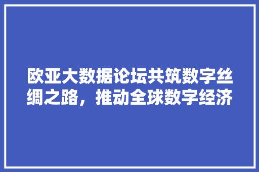 欧亚大数据论坛共筑数字丝绸之路，推动全球数字经济繁荣