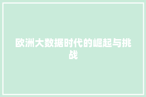 欧洲大数据时代的崛起与挑战