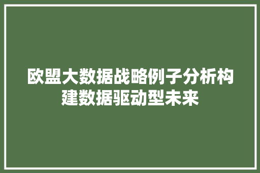 欧盟大数据战略例子分析构建数据驱动型未来 SEO教程