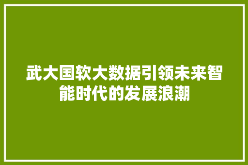 武大国软大数据引领未来智能时代的发展浪潮 SEO教程