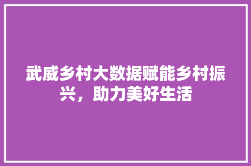 武威乡村大数据赋能乡村振兴，助力美好生活