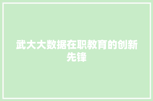 武大大数据在职教育的创新先锋