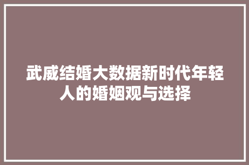 武威结婚大数据新时代年轻人的婚姻观与选择 WordPress教程