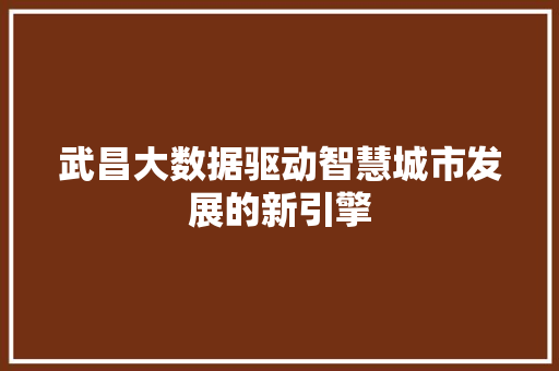 武昌大数据驱动智慧城市发展的新引擎 SEO教程