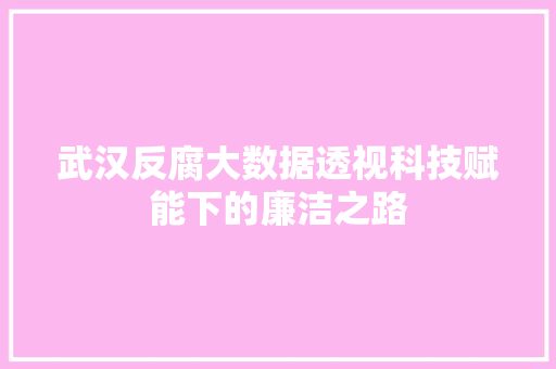 武汉反腐大数据透视科技赋能下的廉洁之路