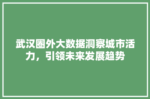 武汉圈外大数据洞察城市活力，引领未来发展趋势