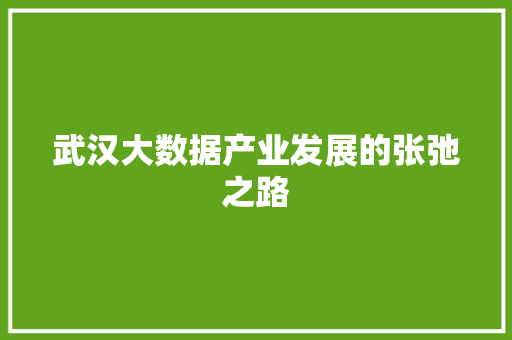 武汉大数据产业发展的张弛之路 建站教程