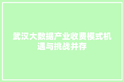 武汉大数据产业收费模式机遇与挑战并存 WordPress教程