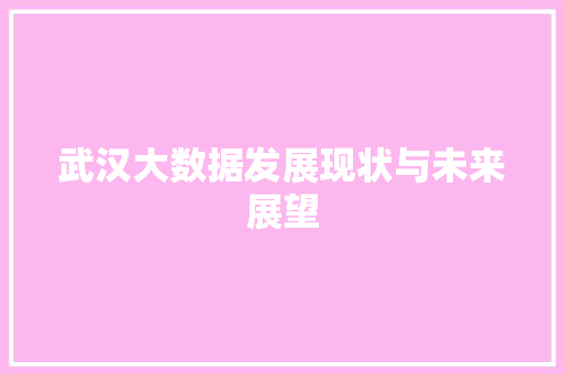 武汉大数据发展现状与未来展望 建站教程