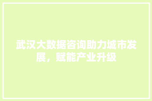 武汉大数据咨询助力城市发展，赋能产业升级