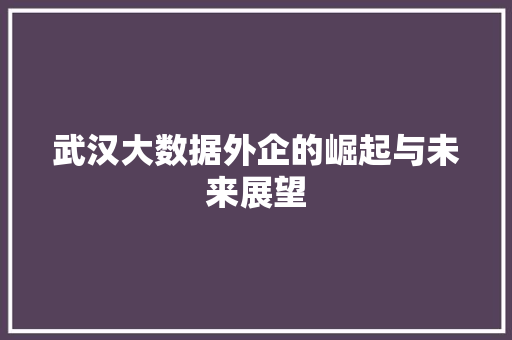 武汉大数据外企的崛起与未来展望