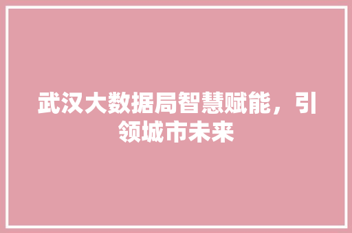 武汉大数据局智慧赋能，引领城市未来
