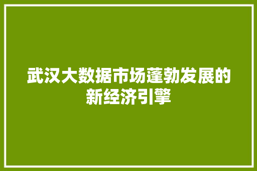 武汉大数据市场蓬勃发展的新经济引擎