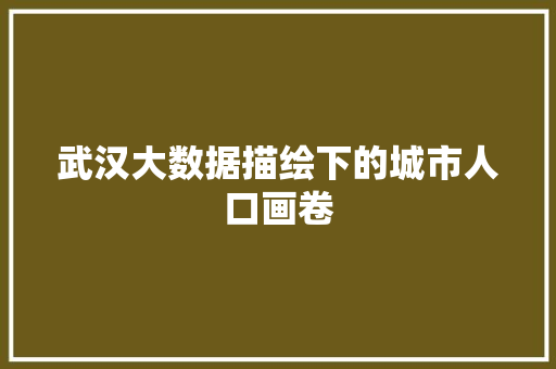 武汉大数据描绘下的城市人口画卷