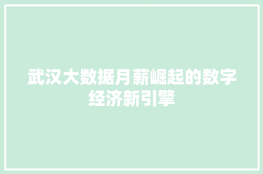 武汉大数据月薪崛起的数字经济新引擎