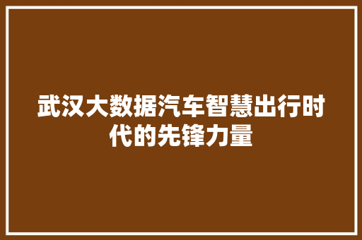 武汉大数据汽车智慧出行时代的先锋力量